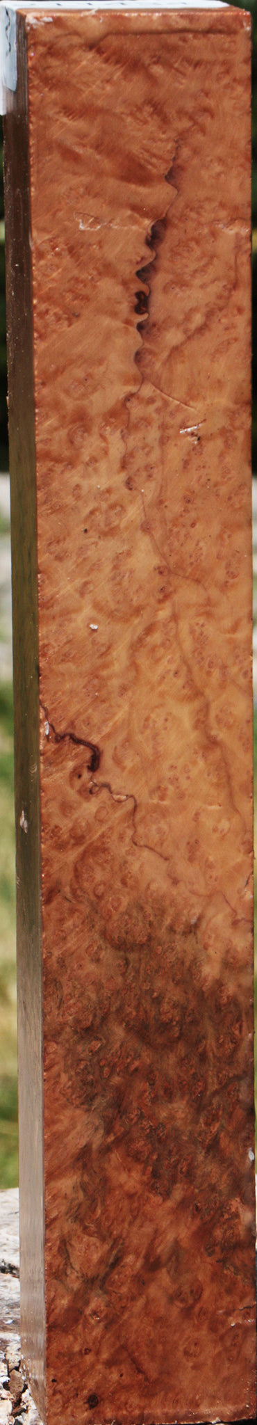 Extra Fancy Kanista Burl Turning Square