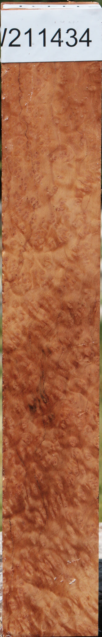 Extra Fancy Kanista Burl Turning Square