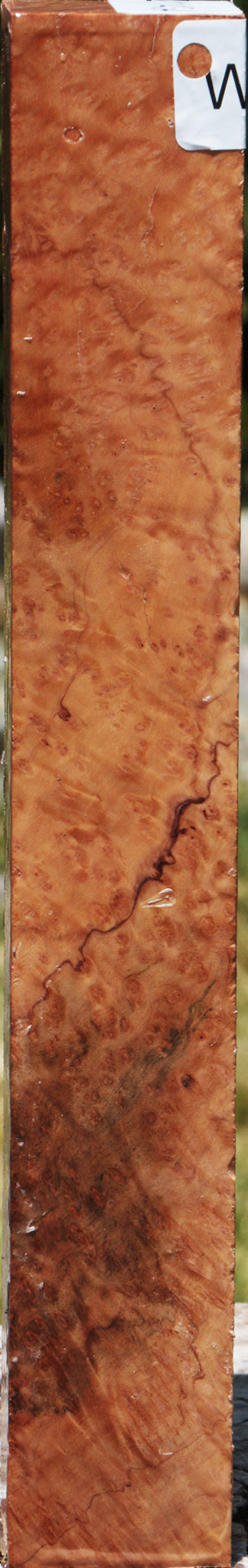 Extra Fancy Kanista Burl Turning Square