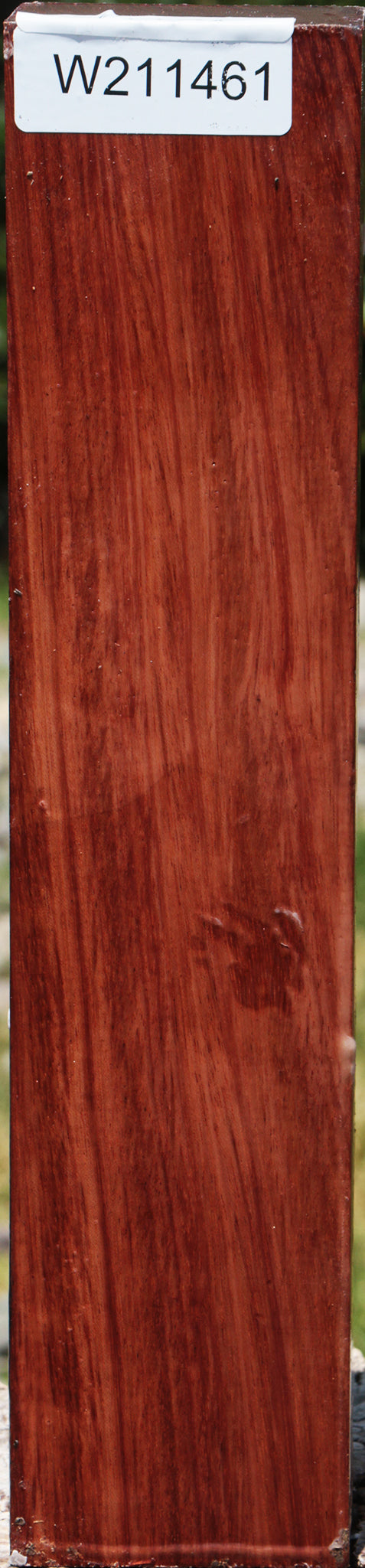 Bubinga Turning Blank