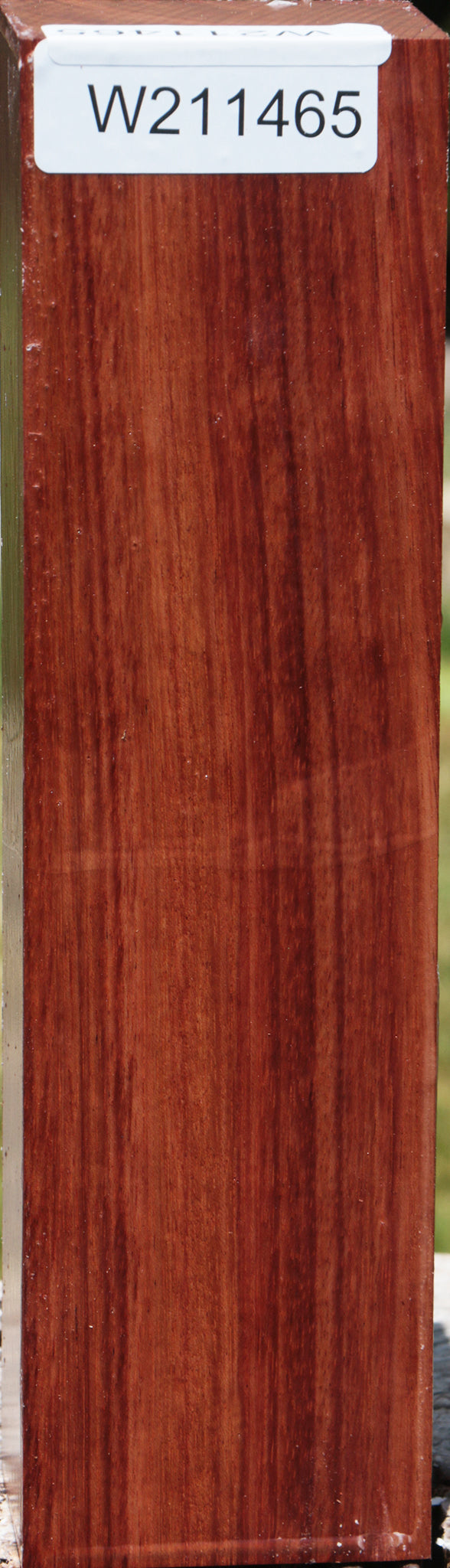 Bubinga Turning Blank