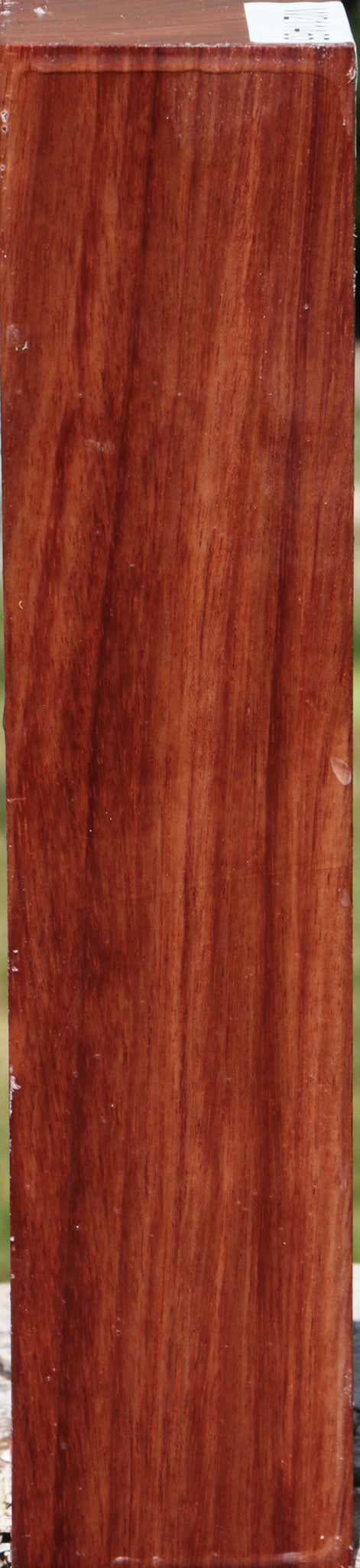 Bubinga Turning Blank