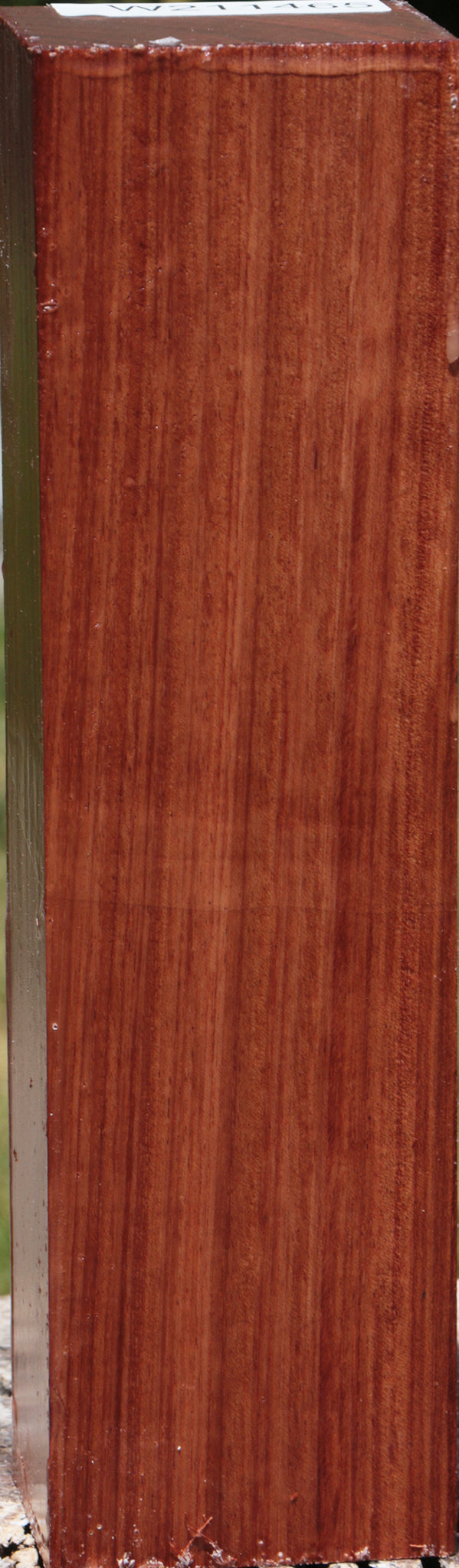 Bubinga Turning Blank