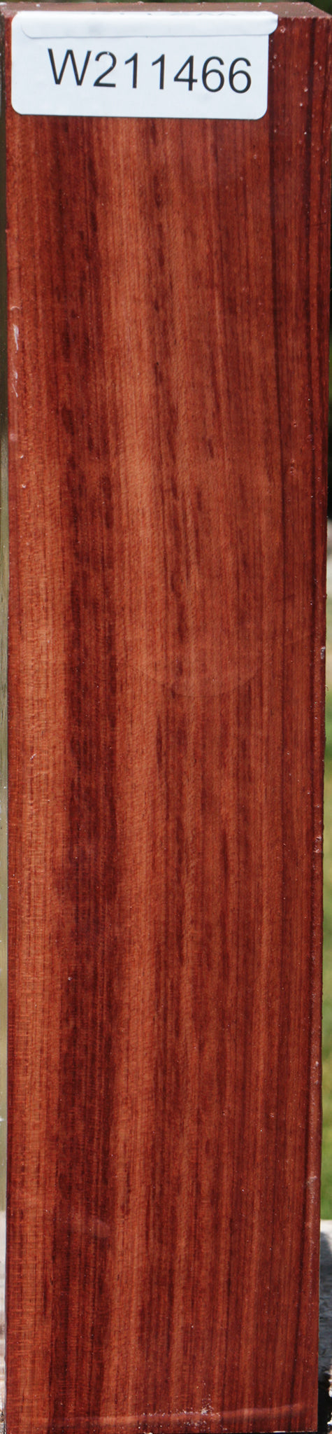 Bubinga Turning Blank