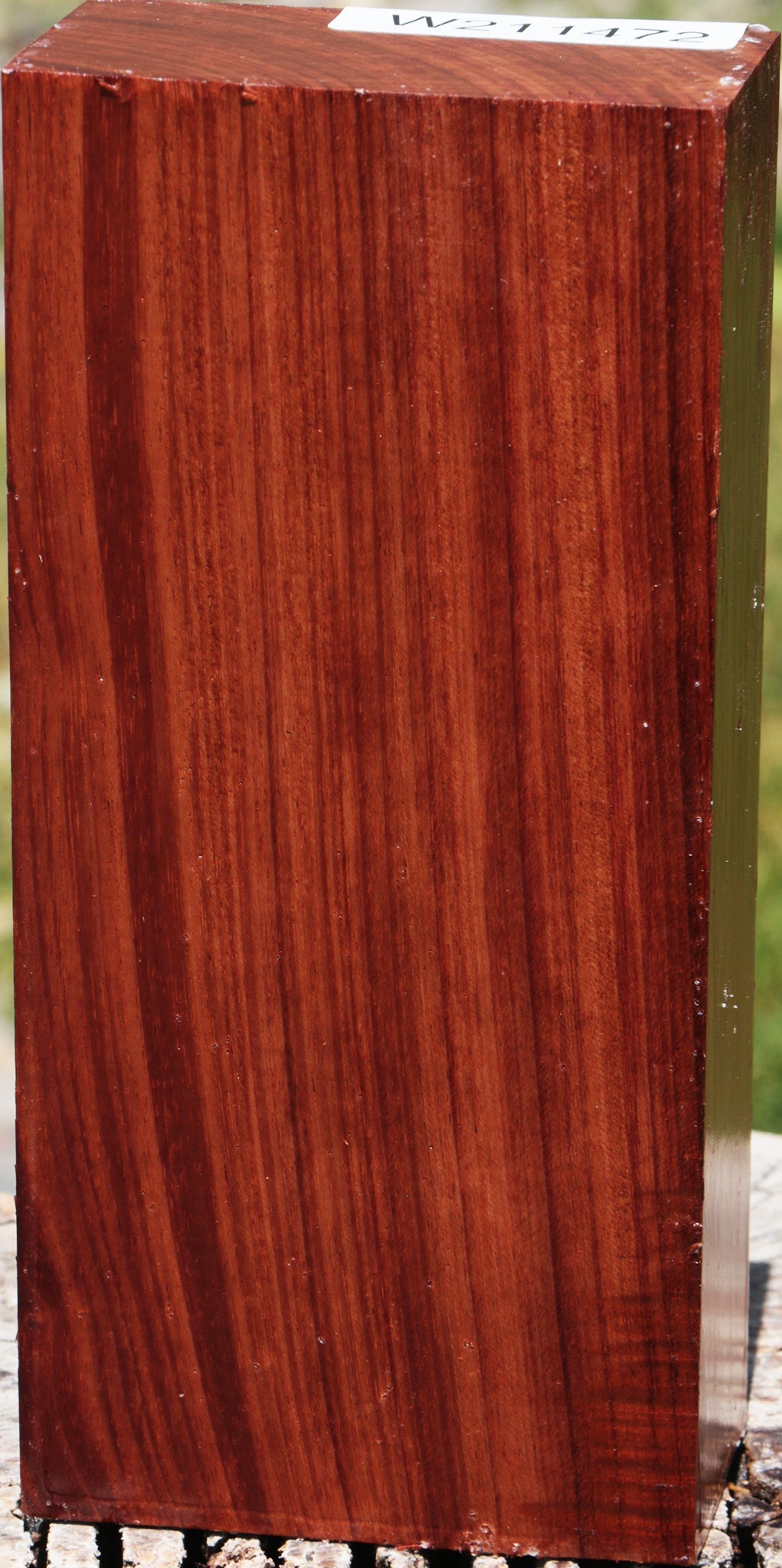 Bubinga Turning Blank