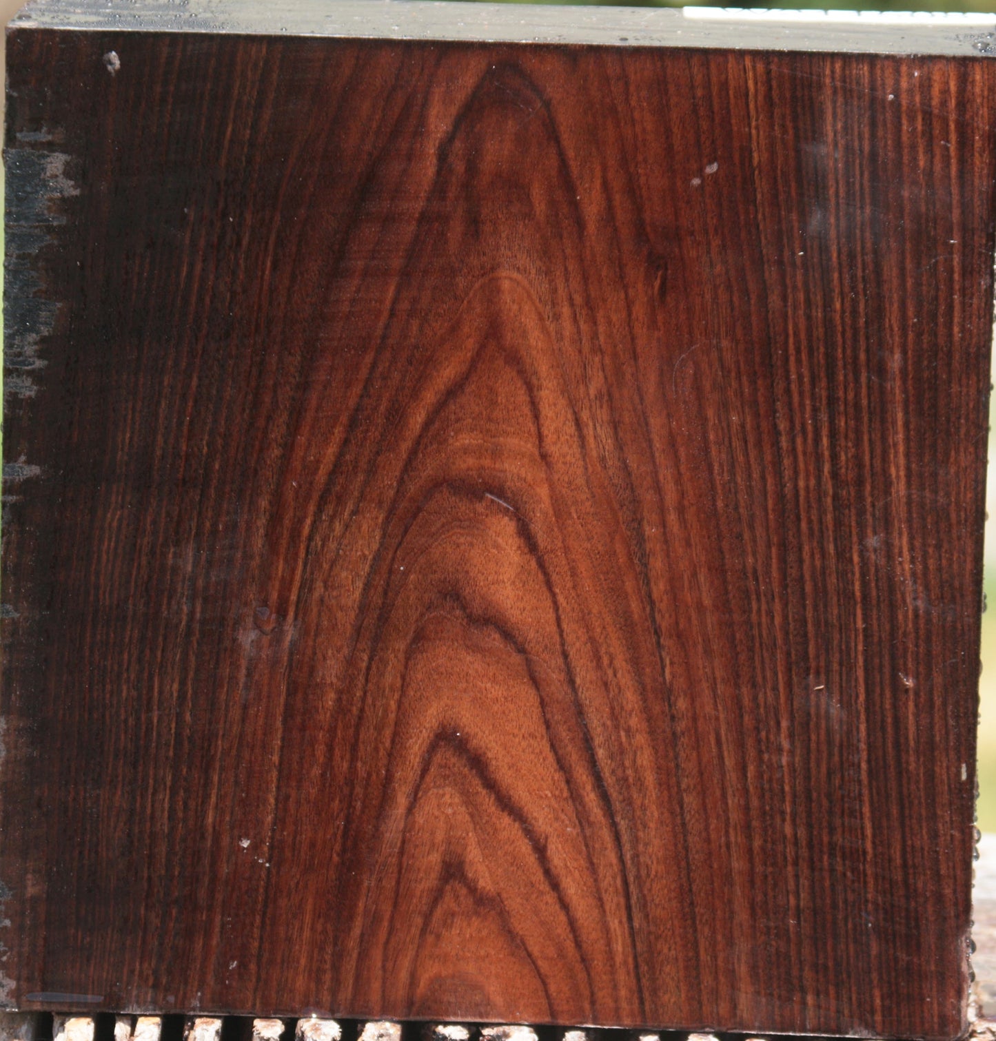 Bocote Bowl Blank