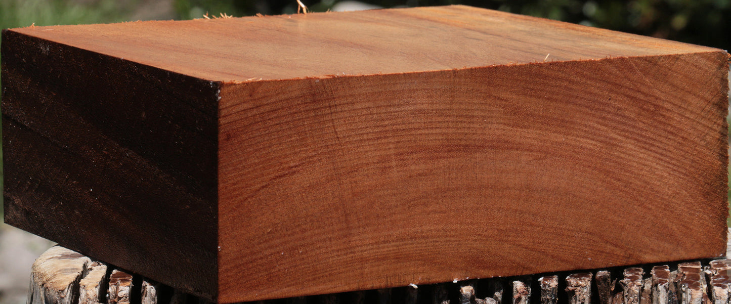 African Mahogany Bowl Blank