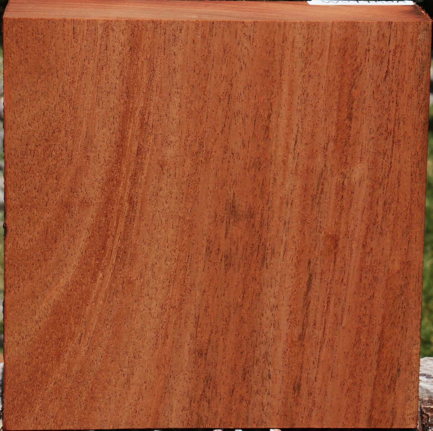 African Mahogany Bowl Blank