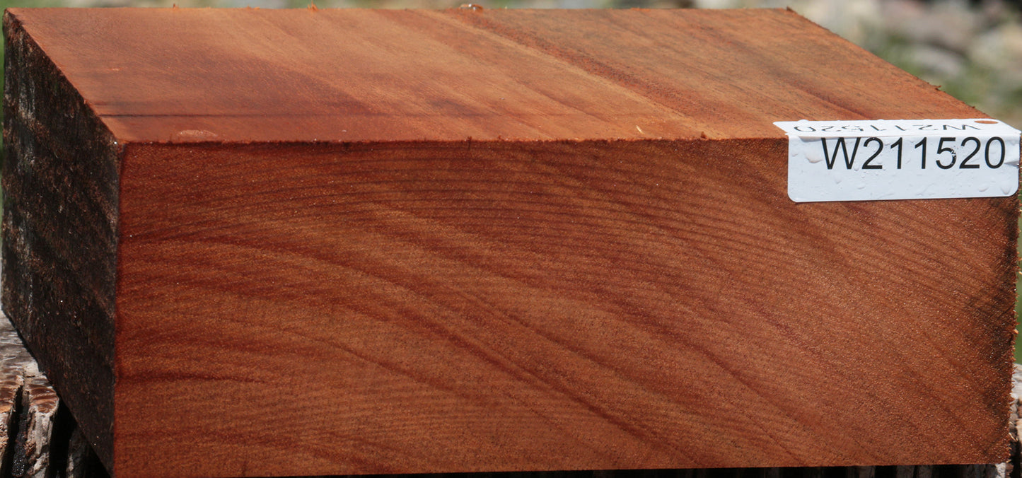 African Mahogany Bowl Blank