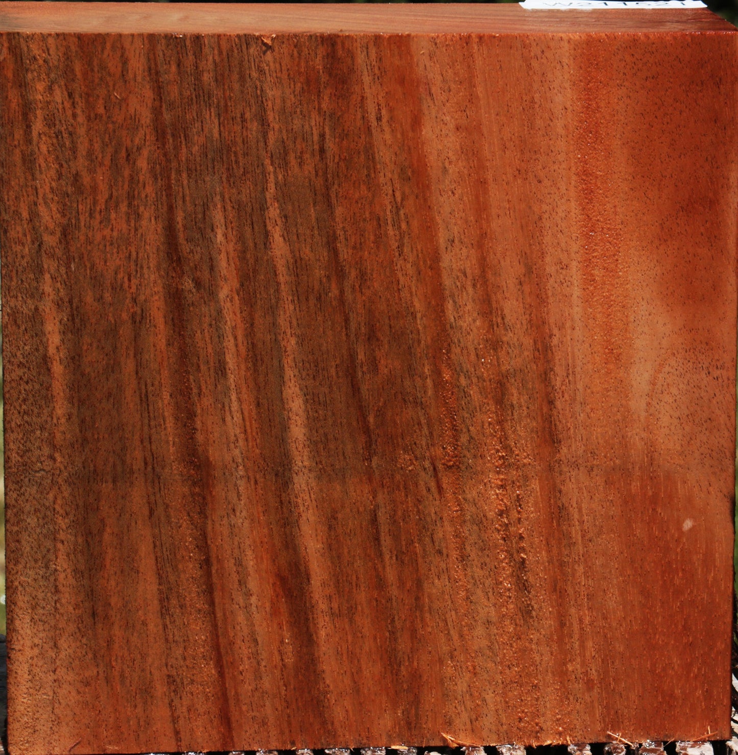 African Mahogany Live Edge Bowl Blank