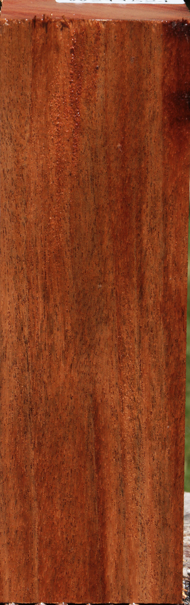 African Mahogany Peppermill