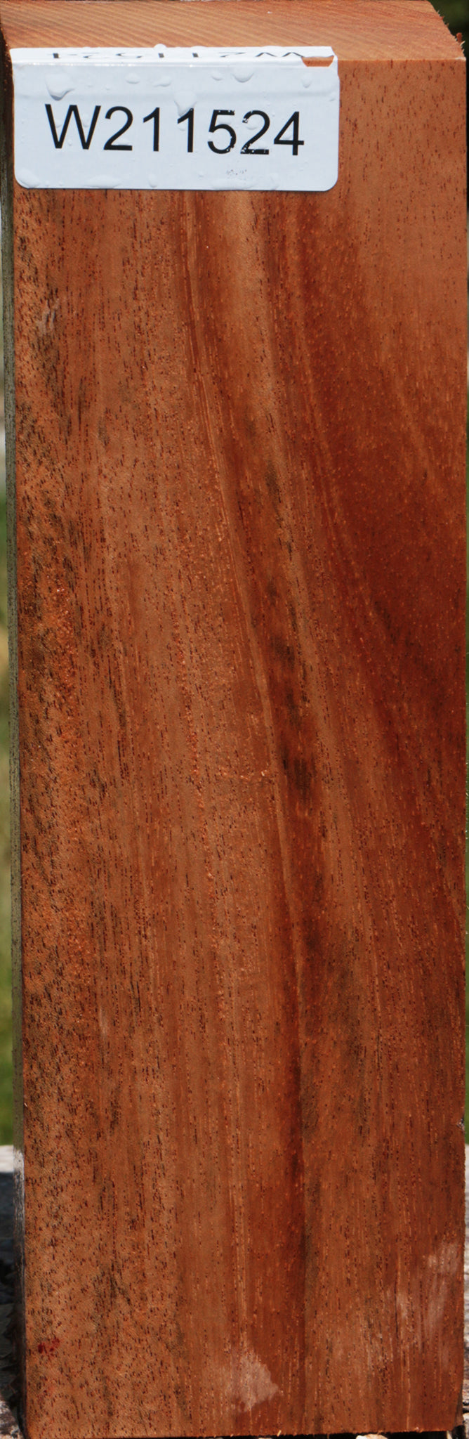 African Mahogany Peppermill