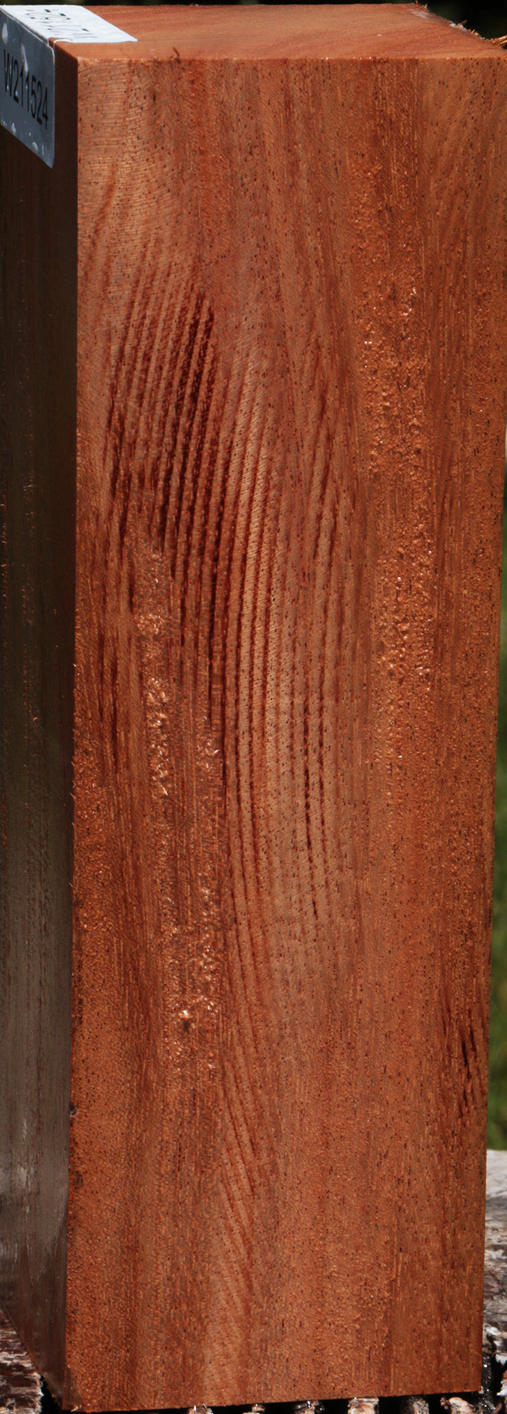 African Mahogany Peppermill