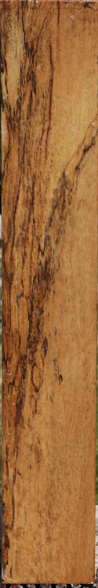 Spalted Tamarind Peppermill