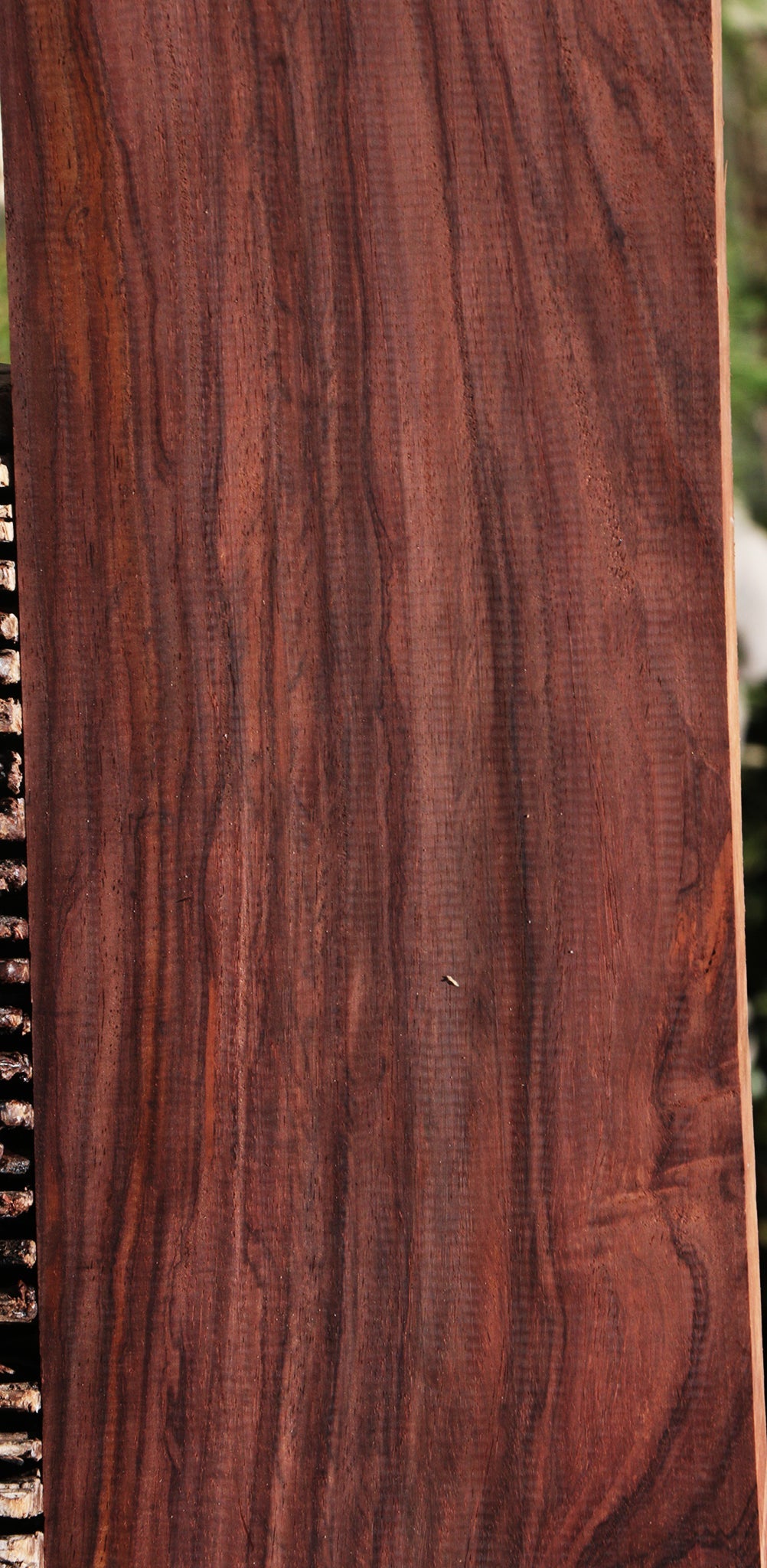 Cocobolo Instrument Lumber