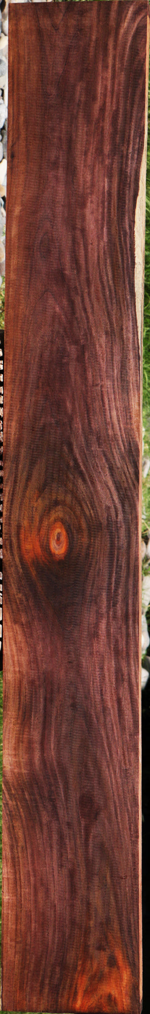 Cocobolo Lumber