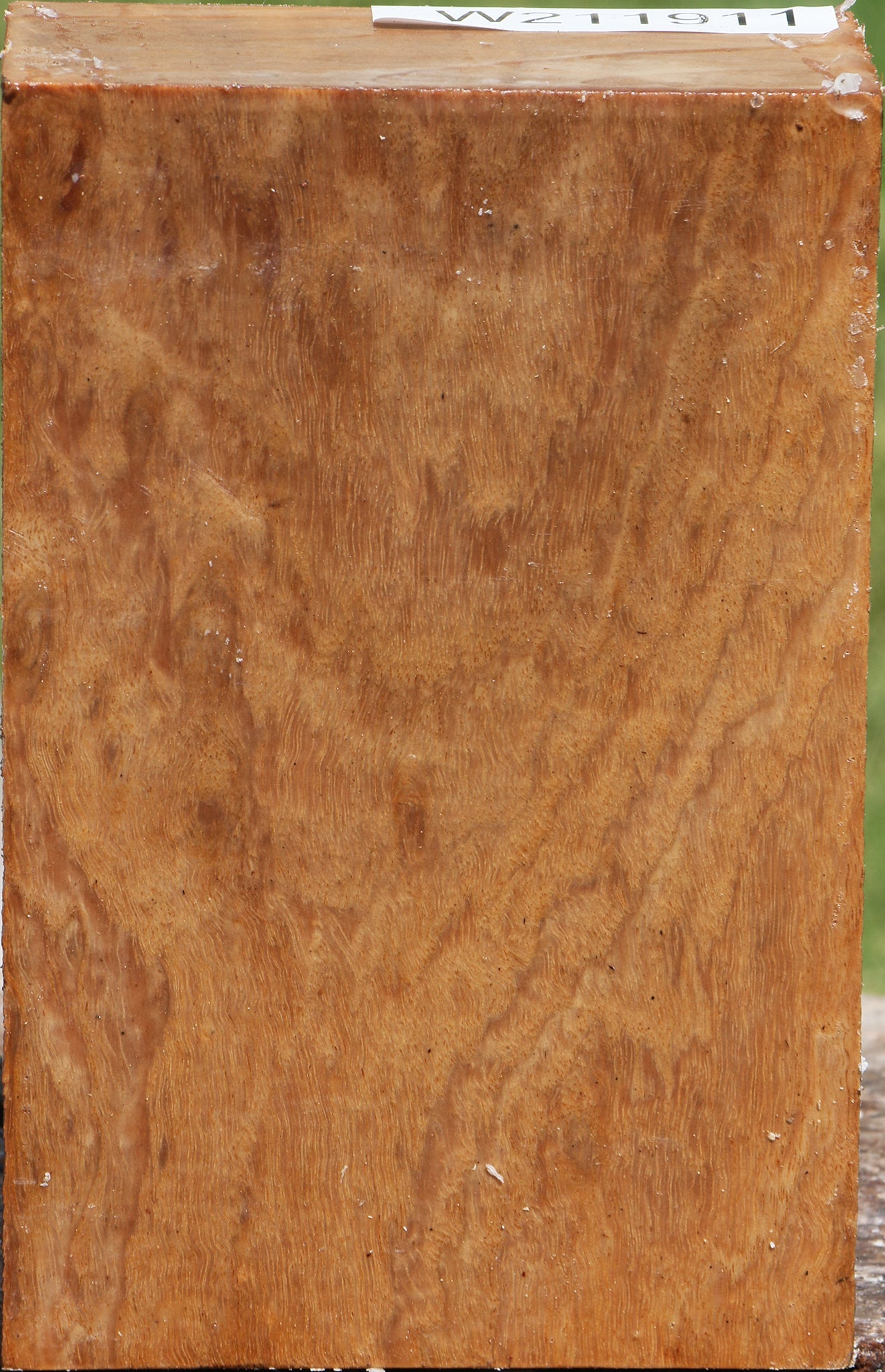 Figured Pomelle Eucalyptus Turning Blank