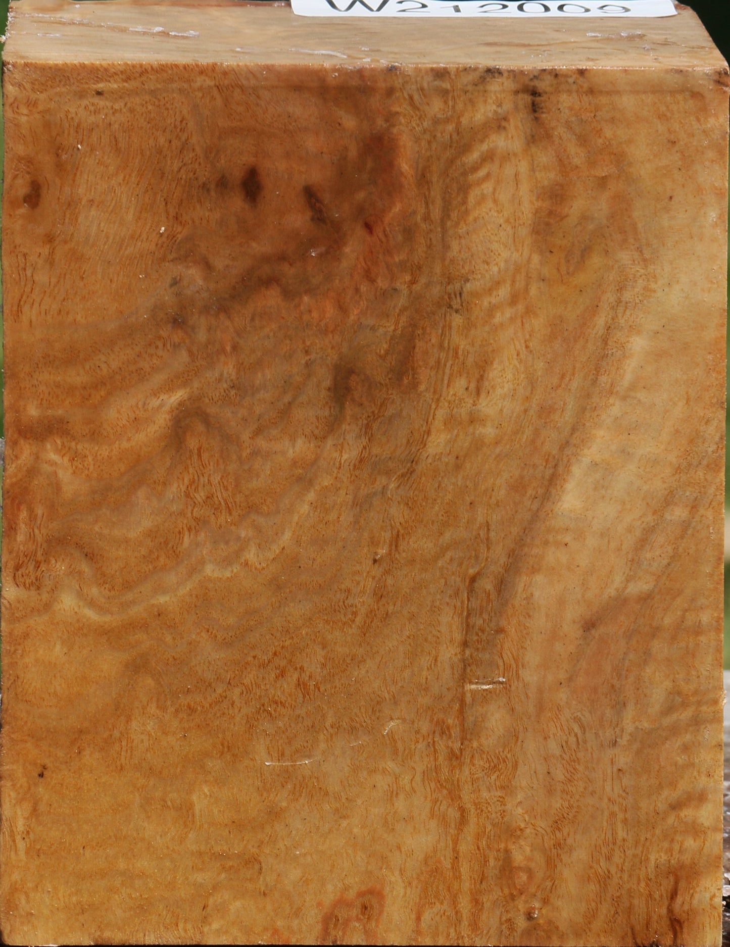 Pomelle Eucalyptus Turning Blank