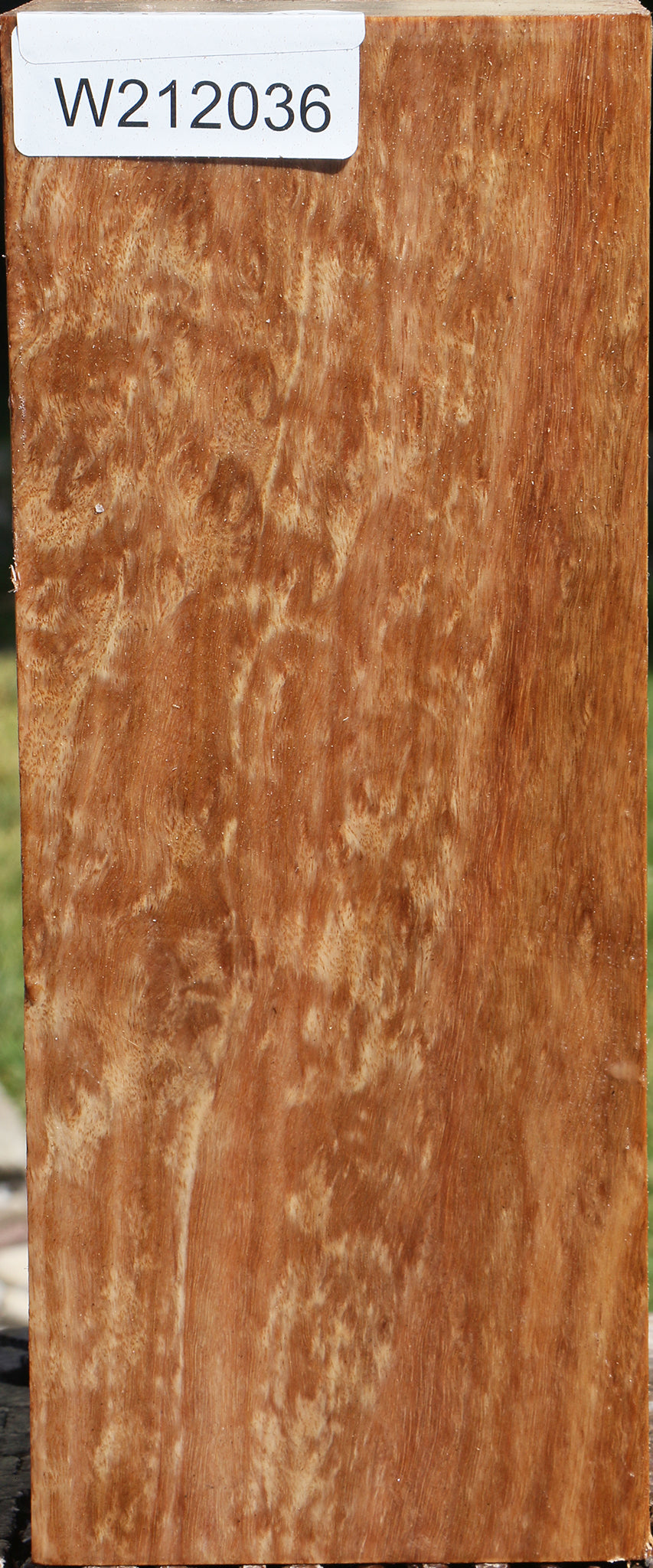 Figured Pomelle Eucalyptus Turning Blank