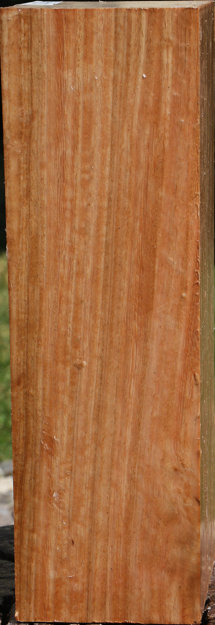 Figured Pomelle Eucalyptus Turning Blank