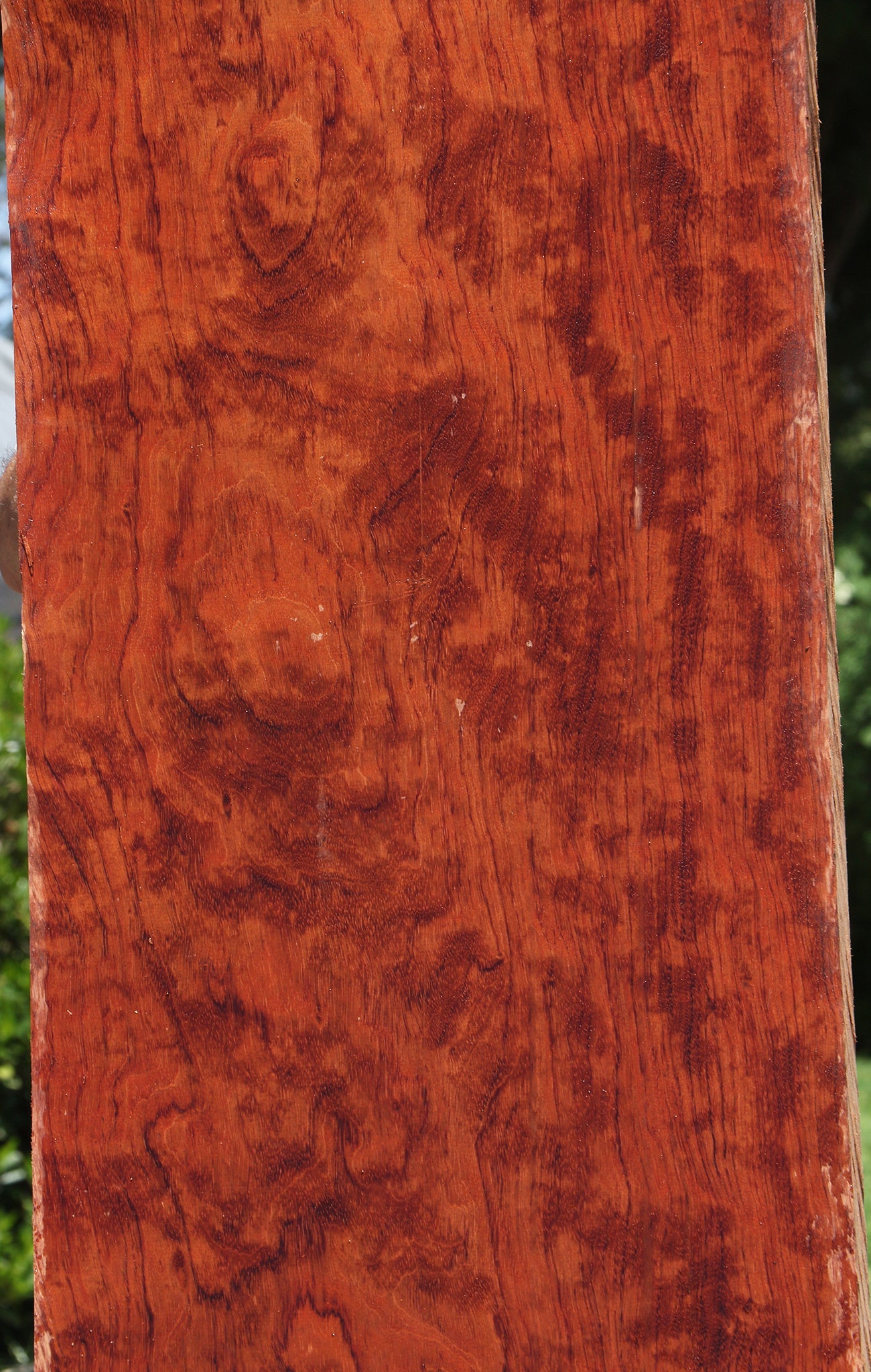 Figured Bubinga Lumber