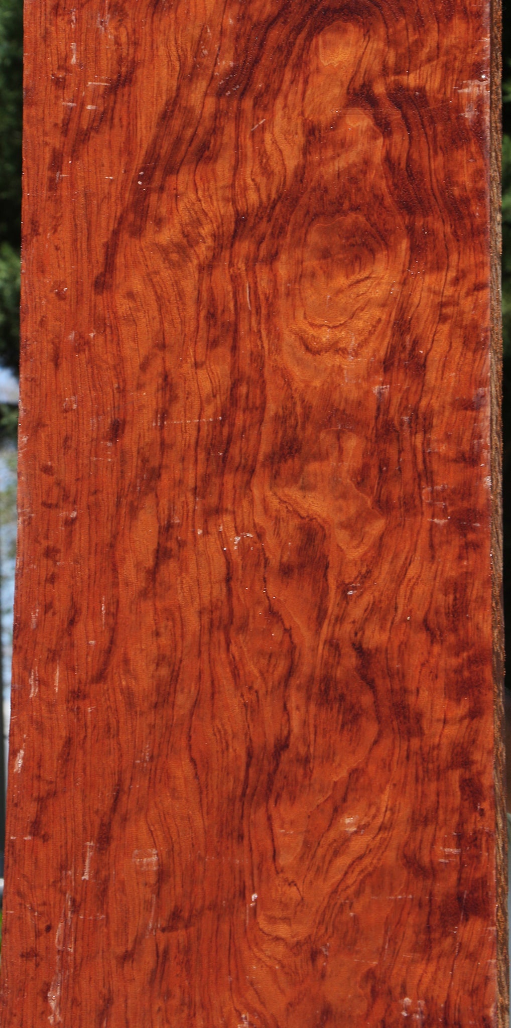 Figured Bubinga Lumber