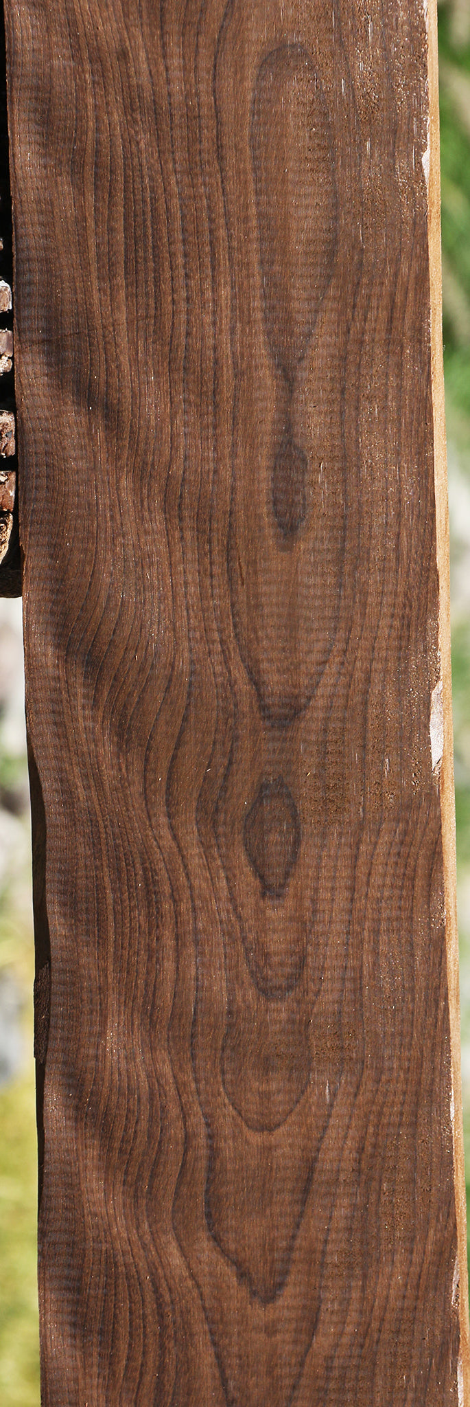 Extra Fancy Baked Birch Lumber