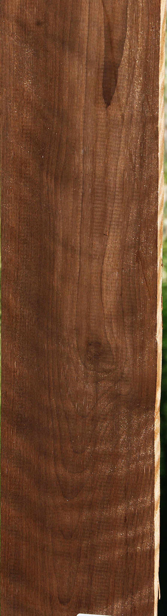 Figured Baked Birch Micro Lumber