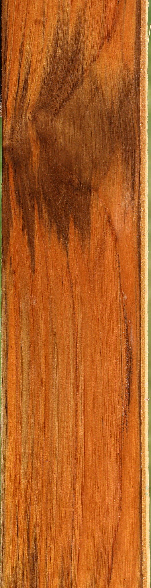 Teak Lumber