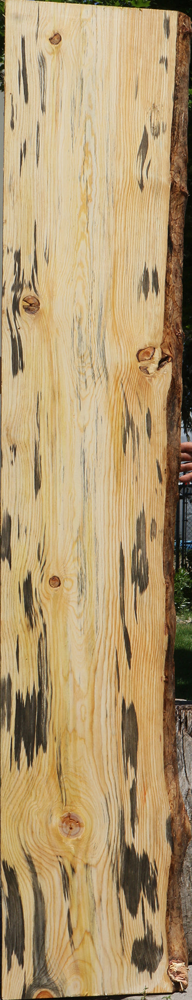 Blue Pine Live Edge Lumber