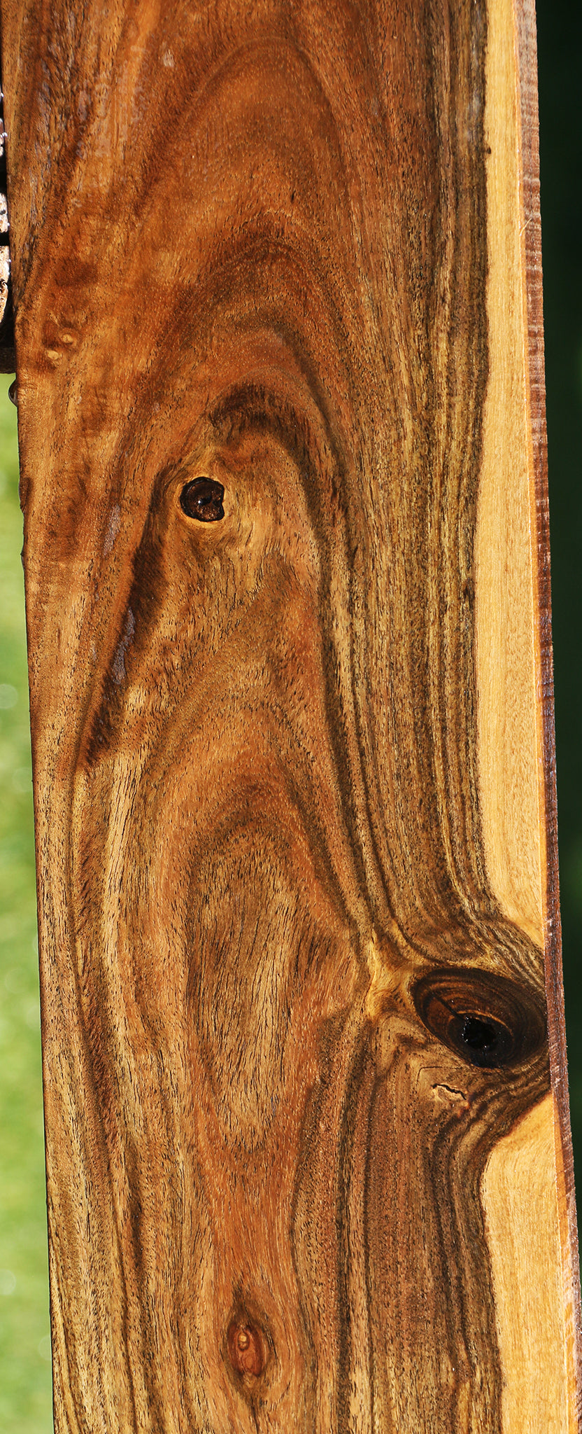 Bocote Lumber