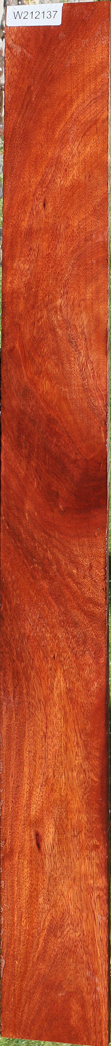 Bloodwood Lumber