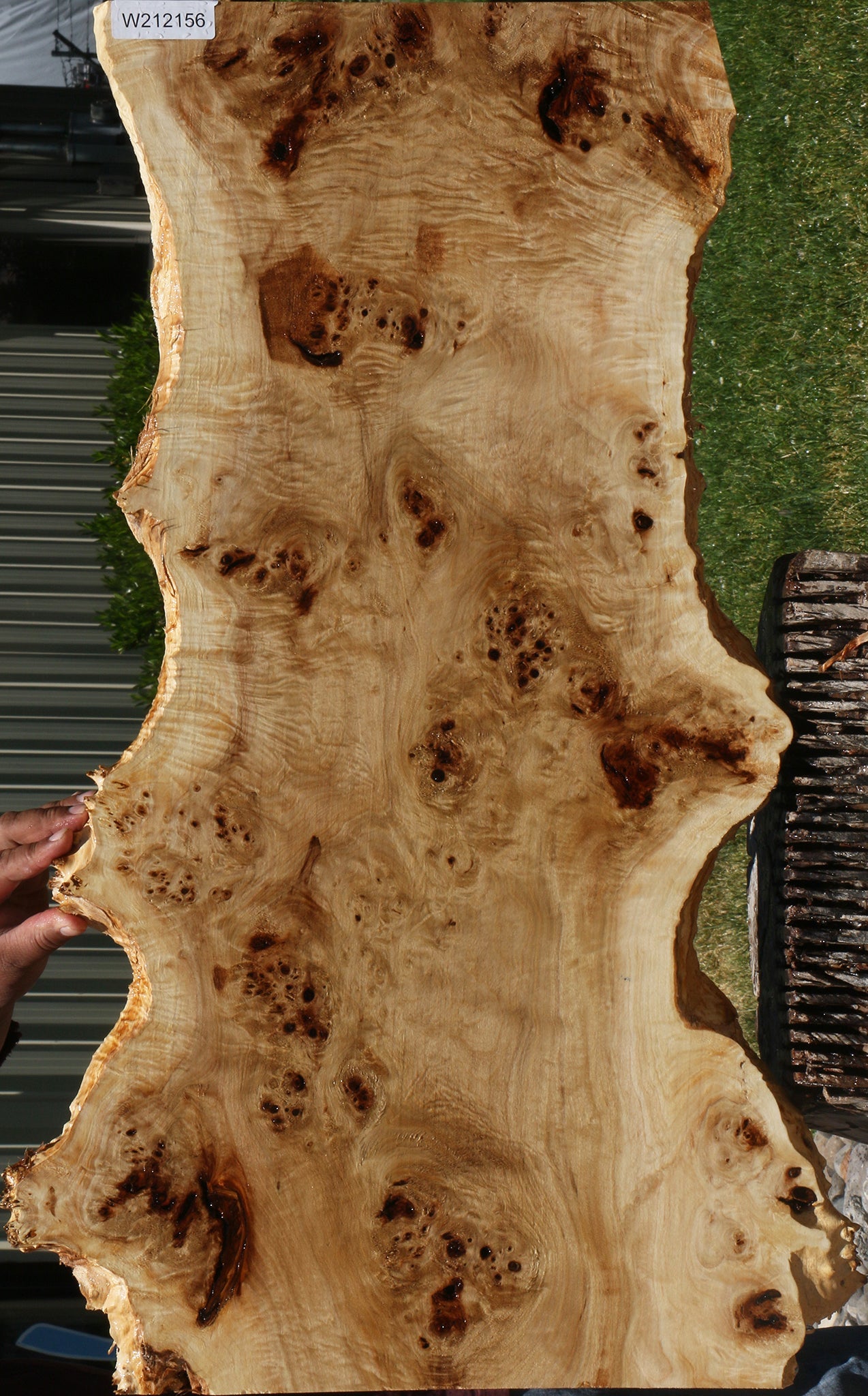 Extra Fancy Mappa Burl Live Edge Lumber