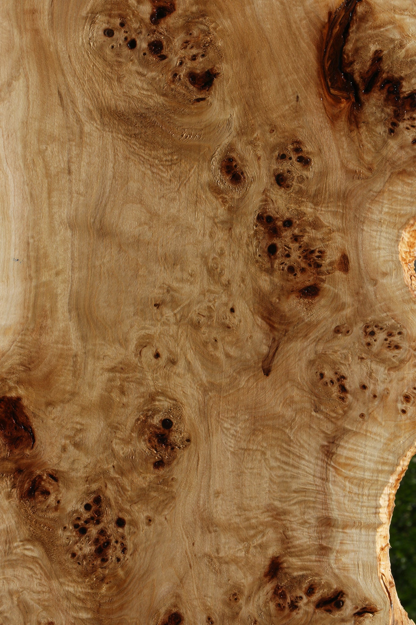 Extra Fancy Mappa Burl Live Edge Lumber