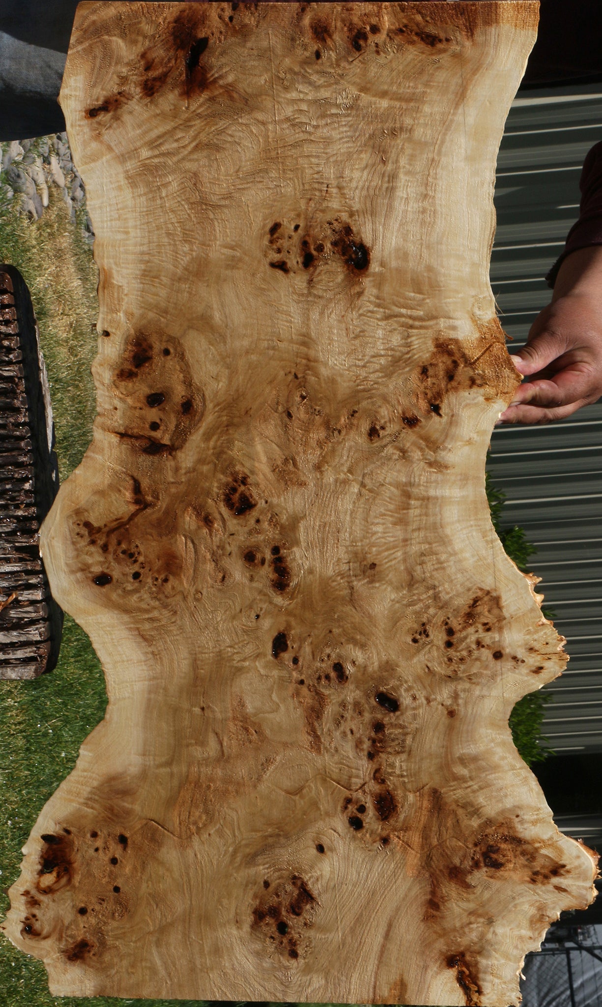 Extra Fancy Mappa Burl Live Edge Lumber