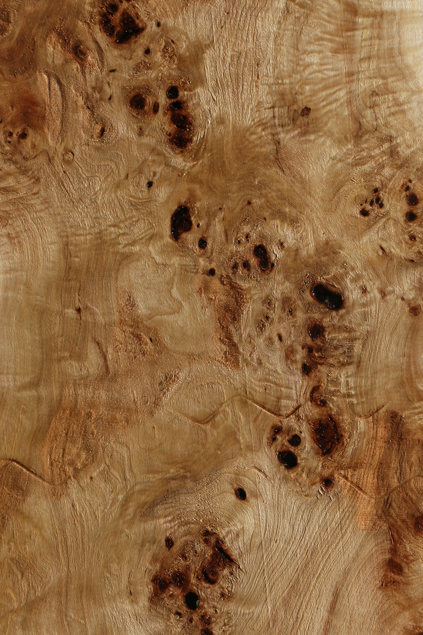 Extra Fancy Mappa Burl Live Edge Lumber