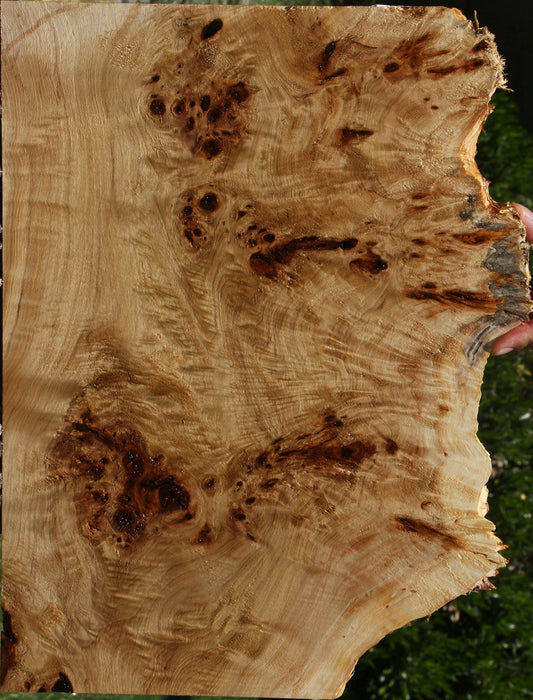 Extra Fancy Mappa Burl Live Edge Lumber