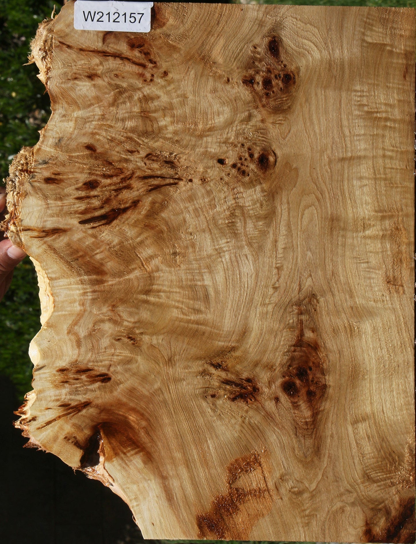 Extra Fancy Mappa Burl Live Edge Lumber