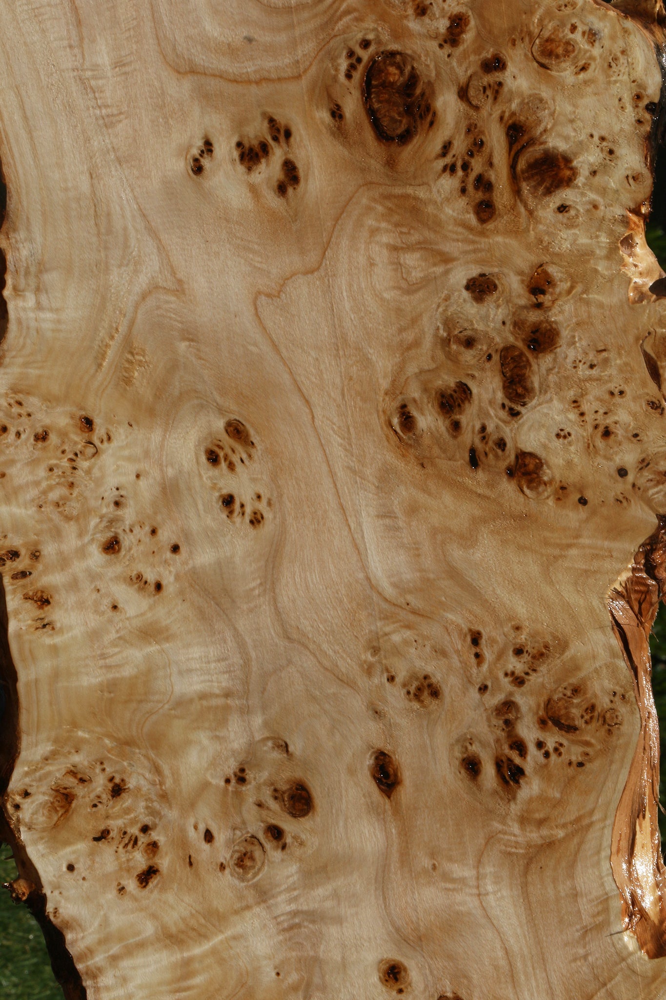 Extra Fancy Mappa Burl Live Edge Lumber