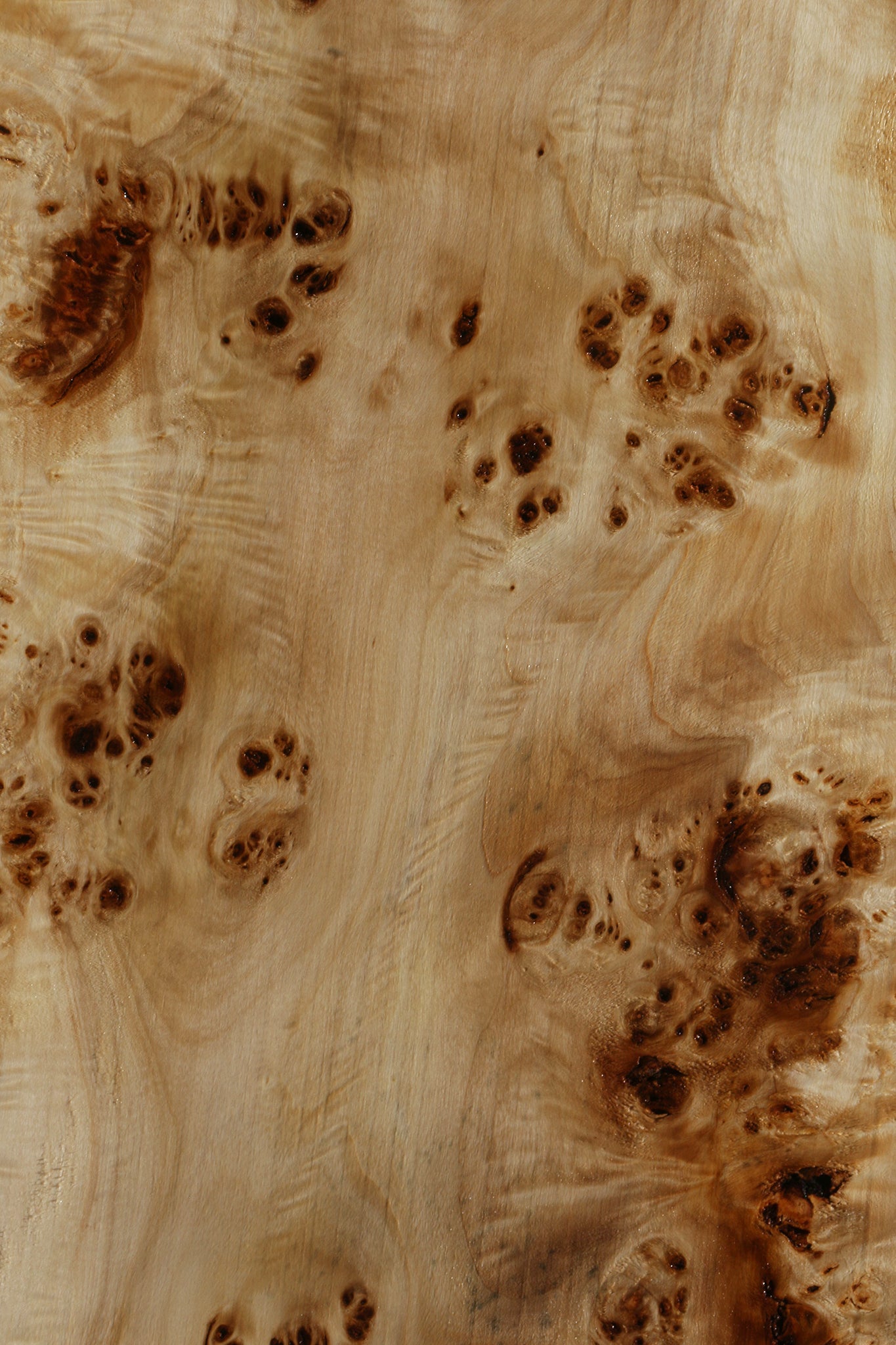 Extra Fancy Mappa Burl Live Edge Lumber