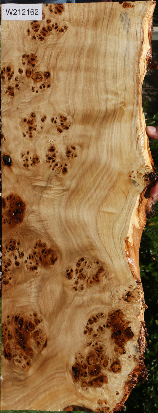 Extra Fancy Mappa Burl Live Edge Lumber