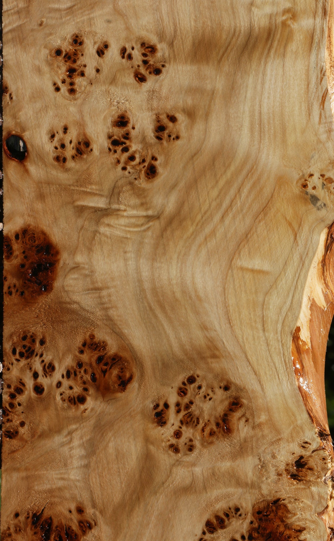 Extra Fancy Mappa Burl Live Edge Lumber