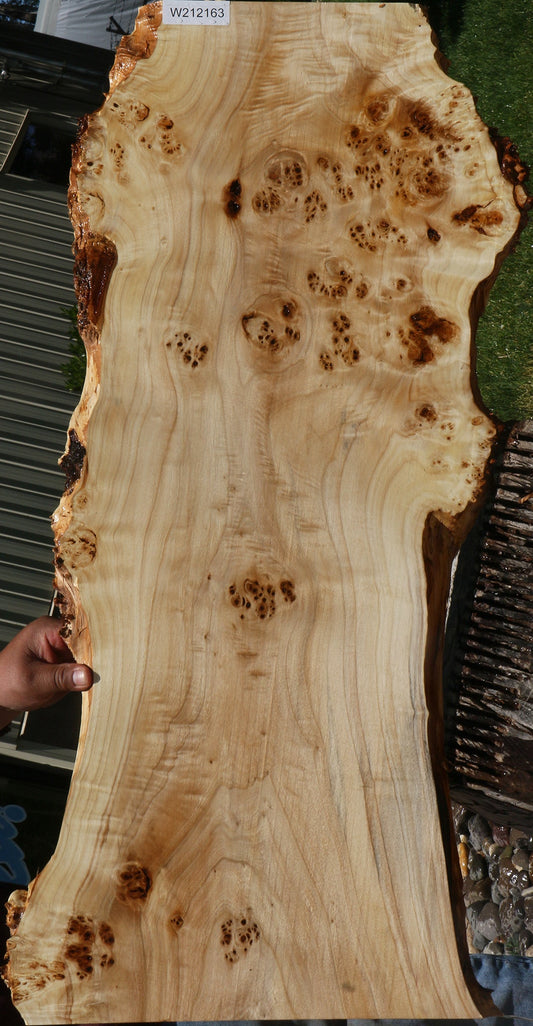 Extra Fancy Mappa Burl Live Edge Lumber