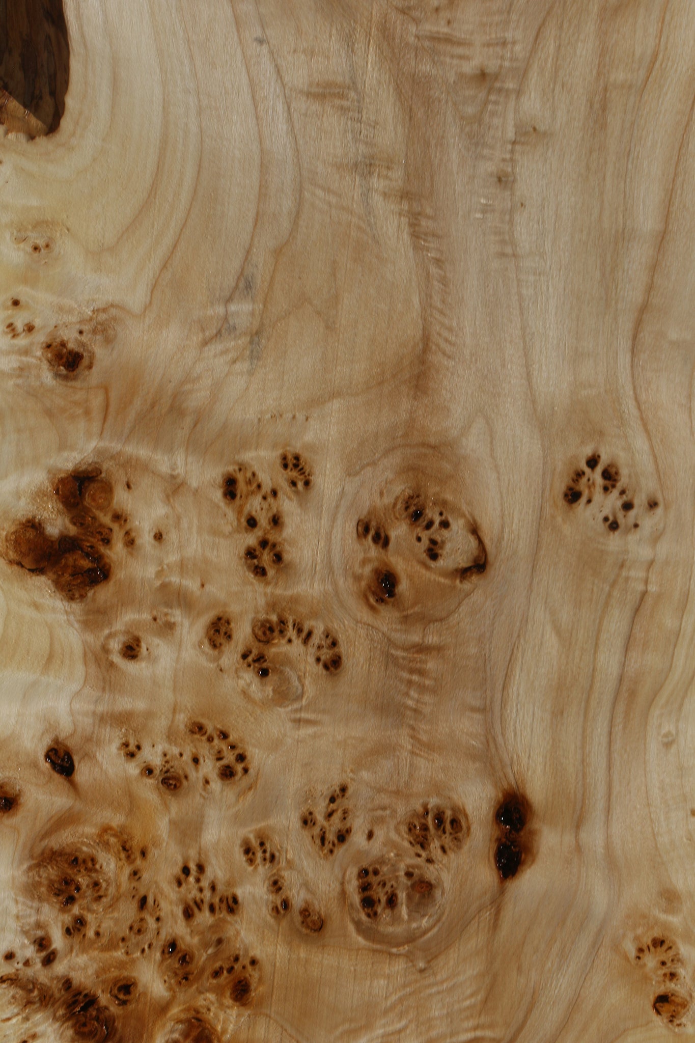 Extra Fancy Mappa Burl Live Edge Lumber