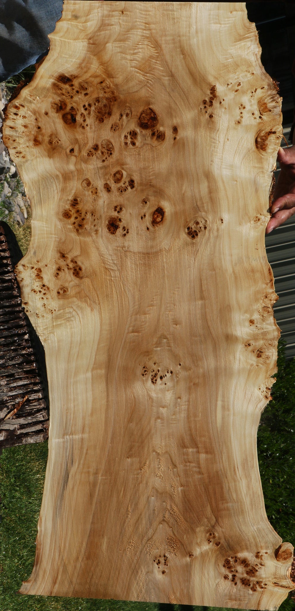 Extra Fancy Mappa Burl Live Edge Lumber