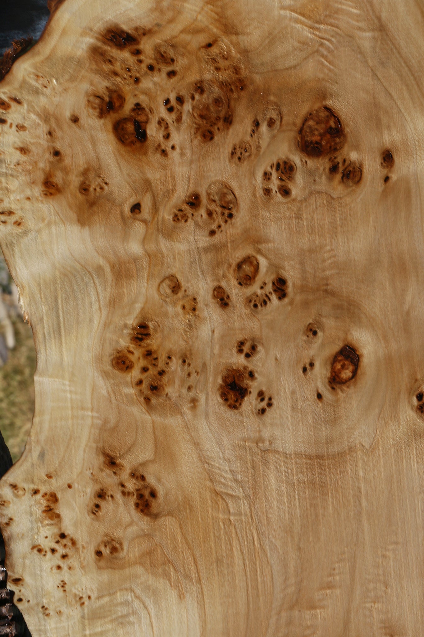 Extra Fancy Mappa Burl Live Edge Lumber