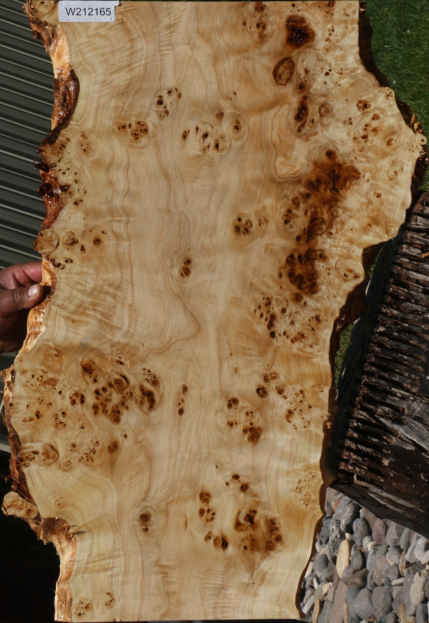 Extra Fancy Mappa Burl Live Edge Lumber