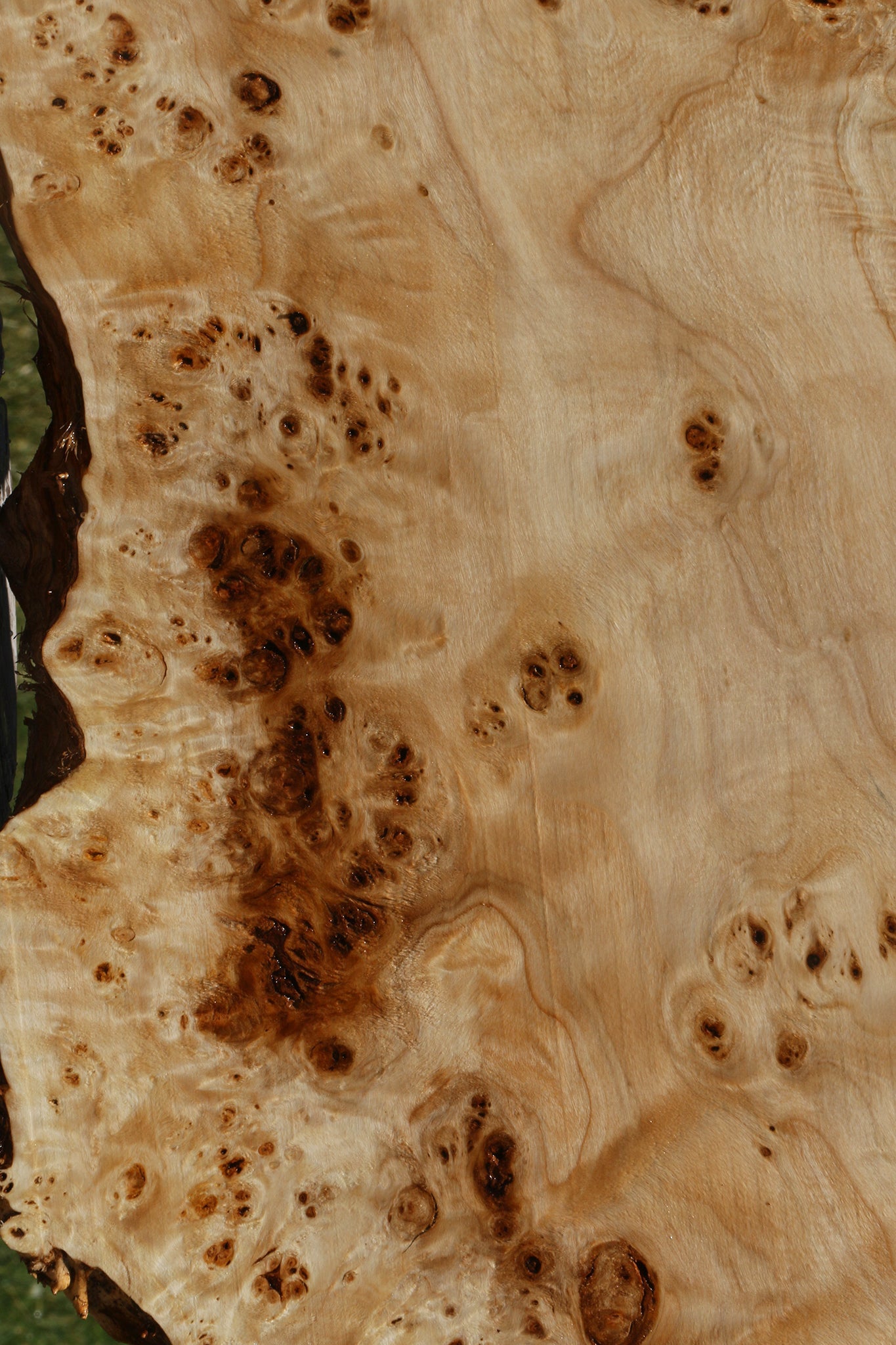 Extra Fancy Mappa Burl Live Edge Lumber