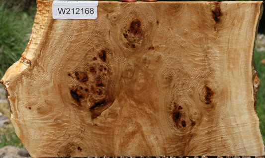 Extra Fancy Mappa Burl Live Edge Lumber