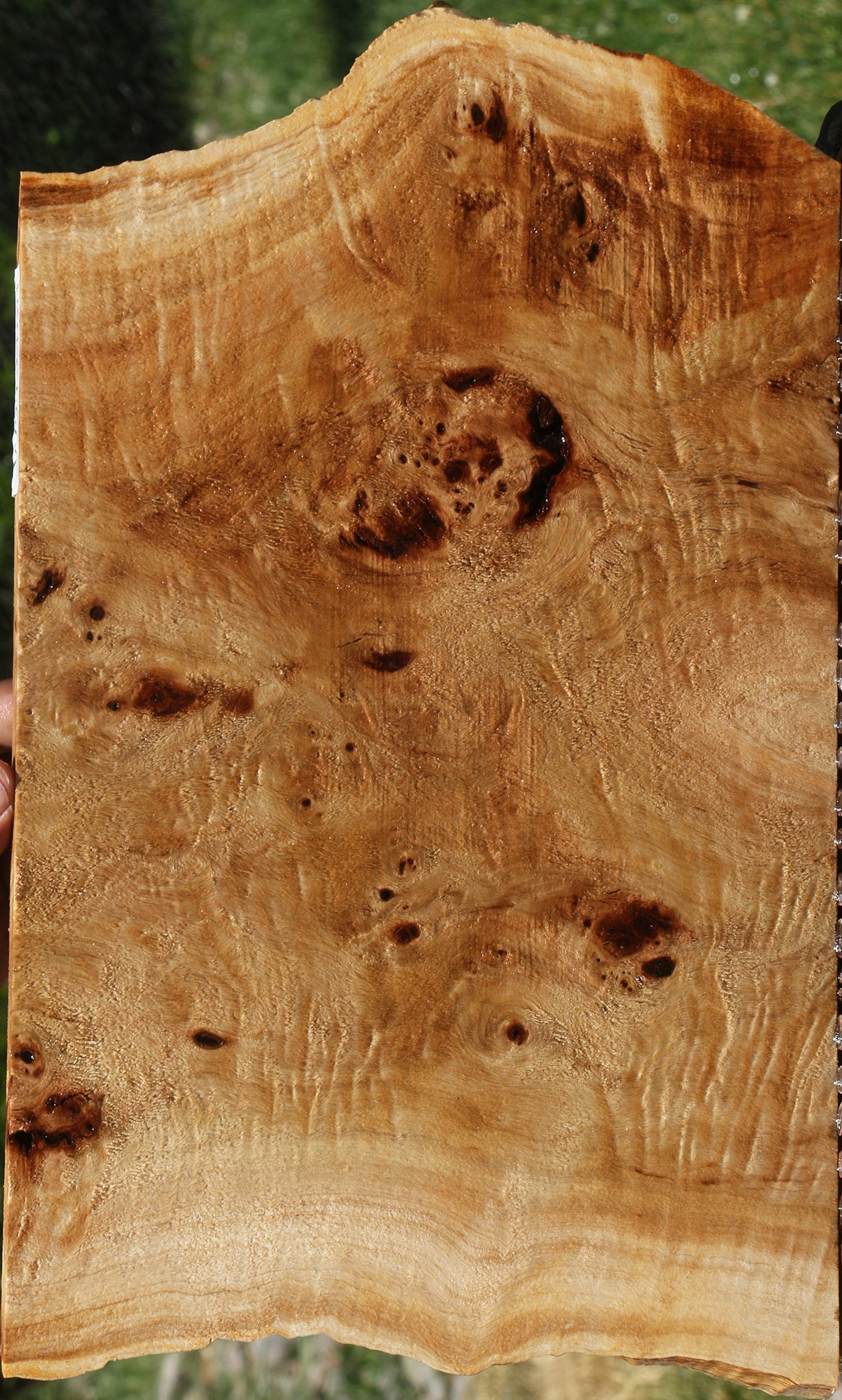 Extra Fancy Mappa Burl Live Edge Lumber